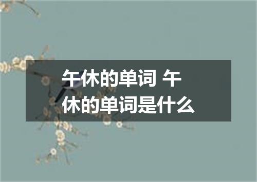 午休的单词 午休的单词是什么