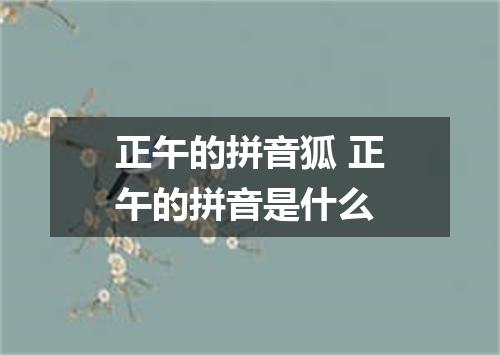 正午的拼音狐 正午的拼音是什么