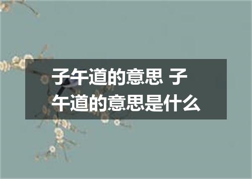 子午道的意思 子午道的意思是什么