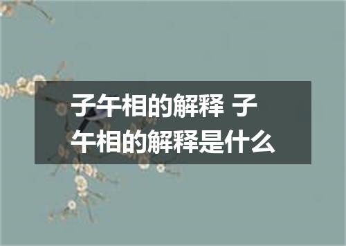 子午相的解释 子午相的解释是什么