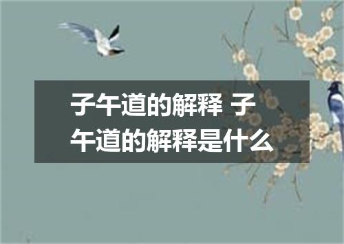 子午道的解释 子午道的解释是什么