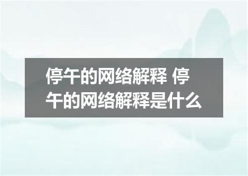 停午的网络解释 停午的网络解释是什么