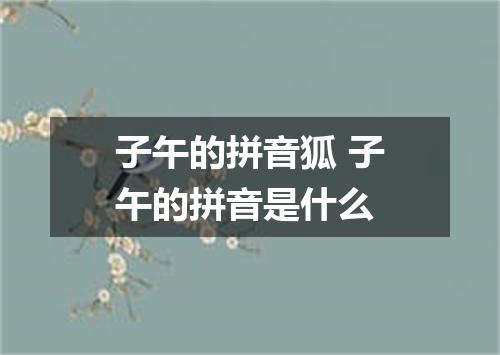 子午的拼音狐 子午的拼音是什么