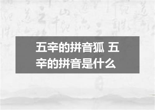 五辛的拼音狐 五辛的拼音是什么