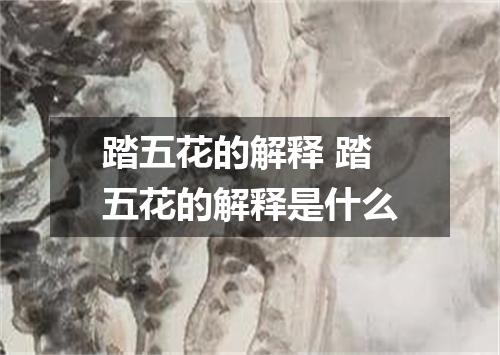 踏五花的解释 踏五花的解释是什么