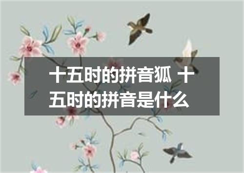 十五时的拼音狐 十五时的拼音是什么