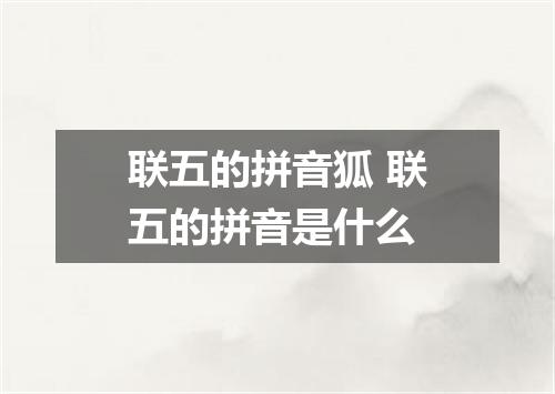 联五的拼音狐 联五的拼音是什么