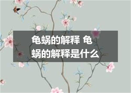 龟蜗的解释 龟蜗的解释是什么