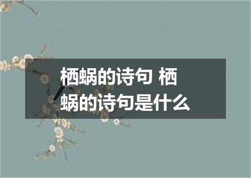 栖蜗的诗句 栖蜗的诗句是什么