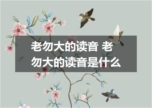 老勿大的读音 老勿大的读音是什么