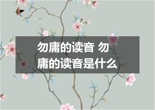 勿庸的读音 勿庸的读音是什么