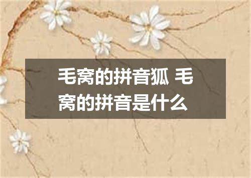 毛窝的拼音狐 毛窝的拼音是什么