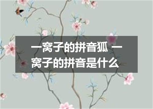 一窝子的拼音狐 一窝子的拼音是什么