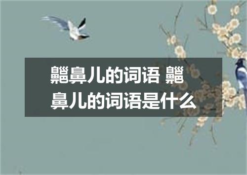 齆鼻儿的词语 齆鼻儿的词语是什么