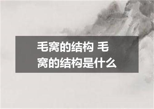 毛窝的结构 毛窝的结构是什么