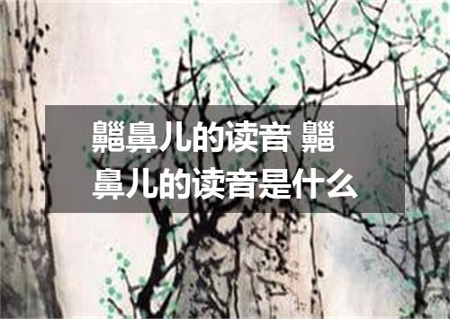 齆鼻儿的读音 齆鼻儿的读音是什么