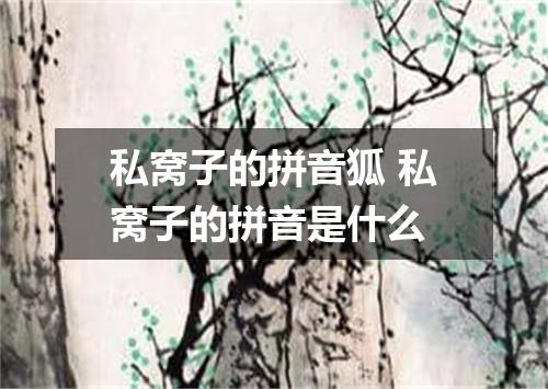 私窝子的拼音狐 私窝子的拼音是什么