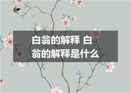 白翁的解释 白翁的解释是什么