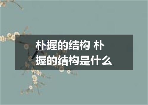 朴握的结构 朴握的结构是什么