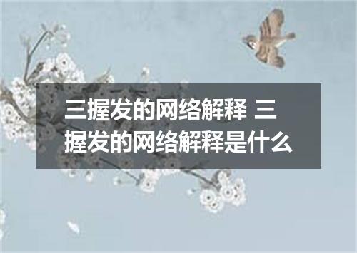 三握发的网络解释 三握发的网络解释是什么