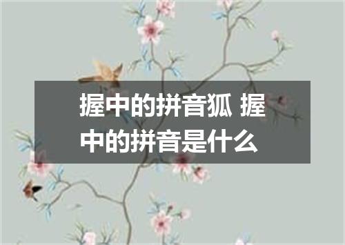 握中的拼音狐 握中的拼音是什么