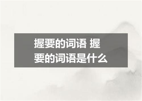 握要的词语 握要的词语是什么