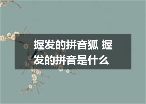 握发的拼音狐 握发的拼音是什么
