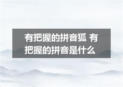 有把握的拼音狐 有把握的拼音是什么