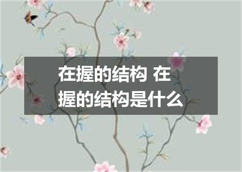 在握的结构 在握的结构是什么