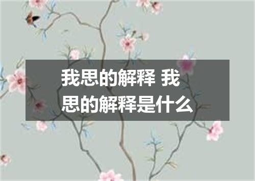 我思的解释 我思的解释是什么