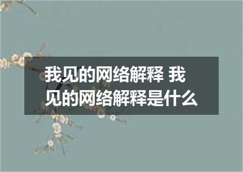 我见的网络解释 我见的网络解释是什么
