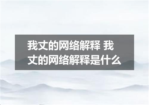 我丈的网络解释 我丈的网络解释是什么