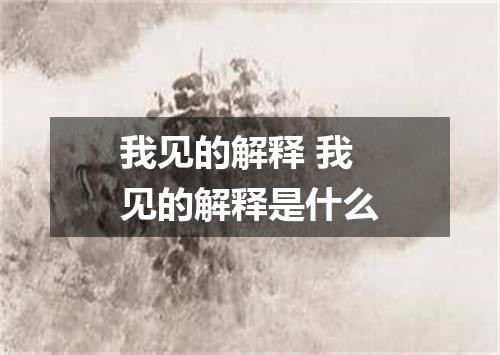 我见的解释 我见的解释是什么