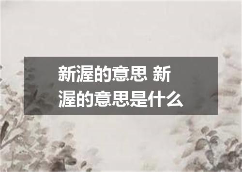 新渥的意思 新渥的意思是什么