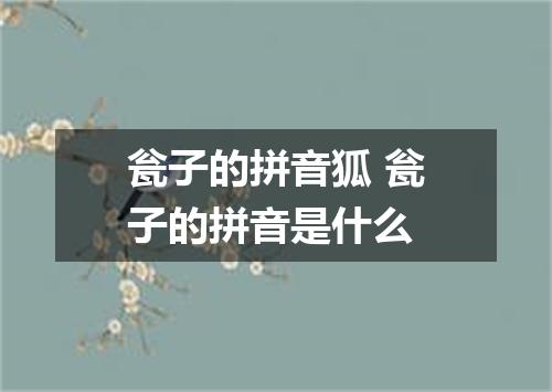 瓮子的拼音狐 瓮子的拼音是什么