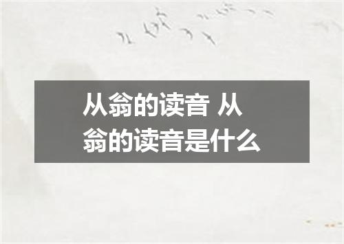 从翁的读音 从翁的读音是什么