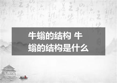 牛螉的结构 牛螉的结构是什么