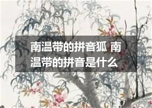 南温带的拼音狐 南温带的拼音是什么