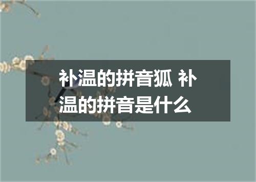 补温的拼音狐 补温的拼音是什么
