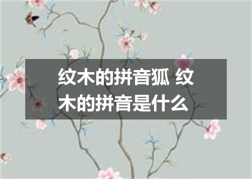 纹木的拼音狐 纹木的拼音是什么