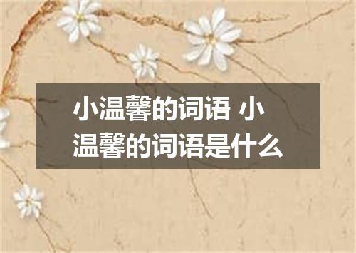 小温馨的词语 小温馨的词语是什么