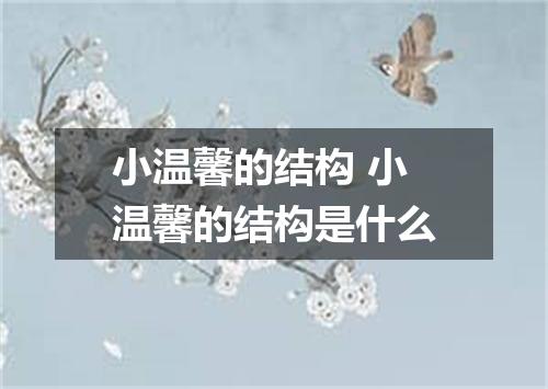 小温馨的结构 小温馨的结构是什么