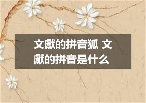 文獻的拼音狐 文獻的拼音是什么