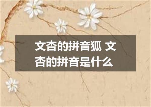 文杏的拼音狐 文杏的拼音是什么