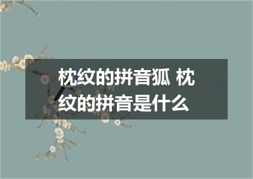 枕纹的拼音狐 枕纹的拼音是什么