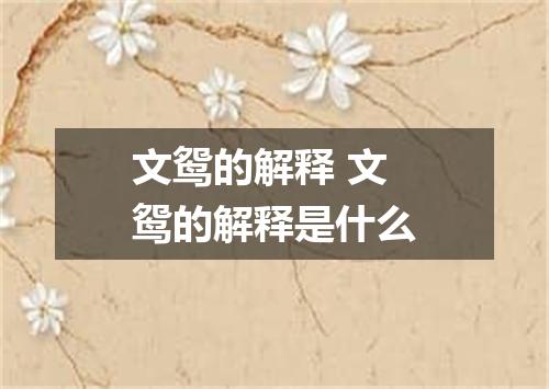 文鸳的解释 文鸳的解释是什么
