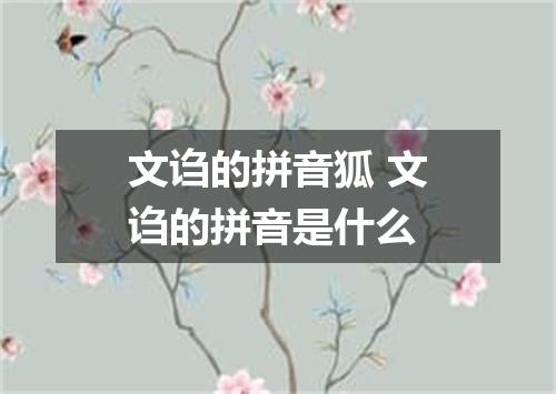 文诌的拼音狐 文诌的拼音是什么