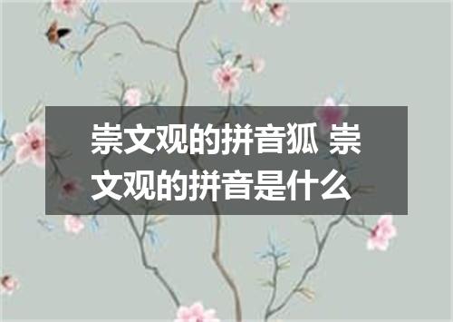 崇文观的拼音狐 崇文观的拼音是什么