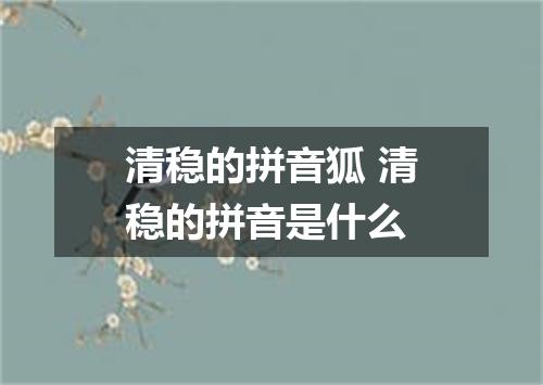 清稳的拼音狐 清稳的拼音是什么