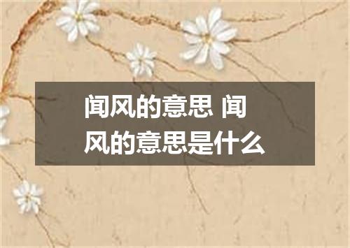 闻风的意思 闻风的意思是什么